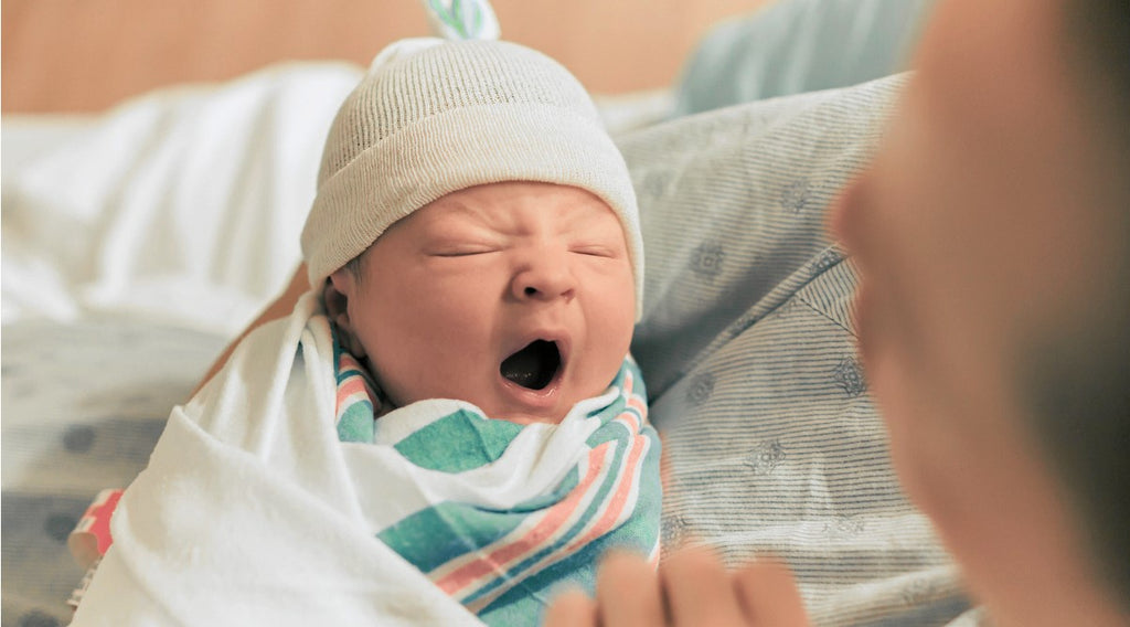 Llegar a casa con un recién nacido: Consejos para cuidar a su bebé durante  los primeros meses de vida
